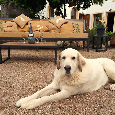 Cal Pau Cruset Guest House Torrellas de Foix ภายนอก รูปภาพ
