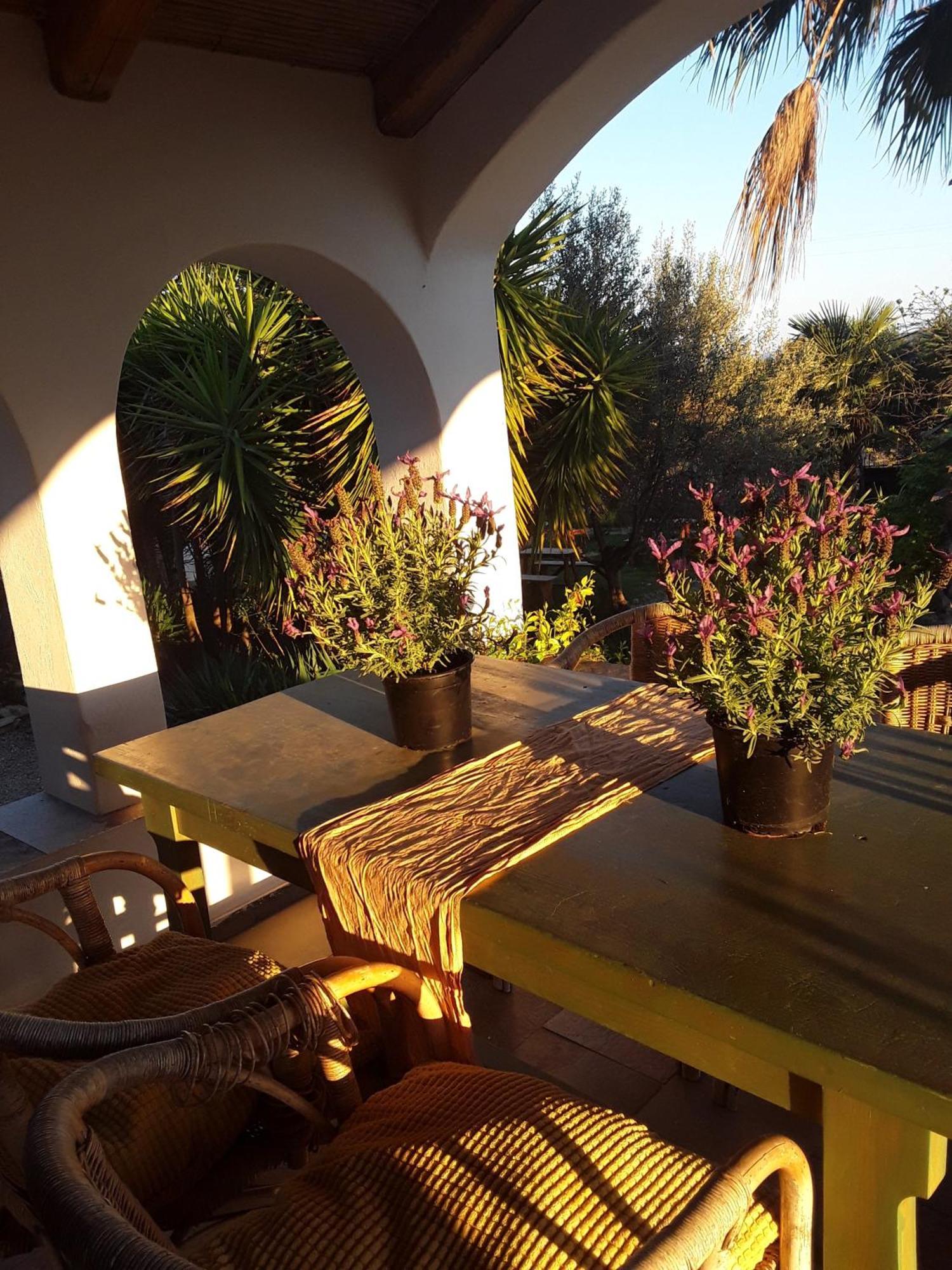 Cal Pau Cruset Guest House Torrellas de Foix ภายนอก รูปภาพ
